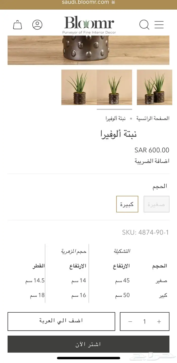 صبار الالوفيرا العضوي الطبيعي 3