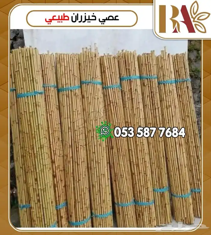 عصي خيزران أوتاد الخيزران الطبيعيه 0