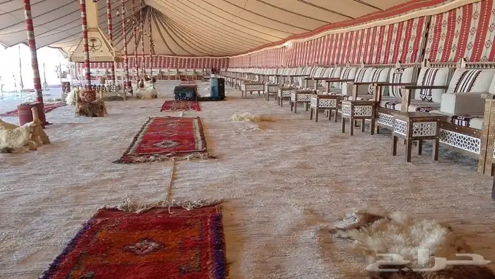 تأجير جميع لوازم الحفلات 17