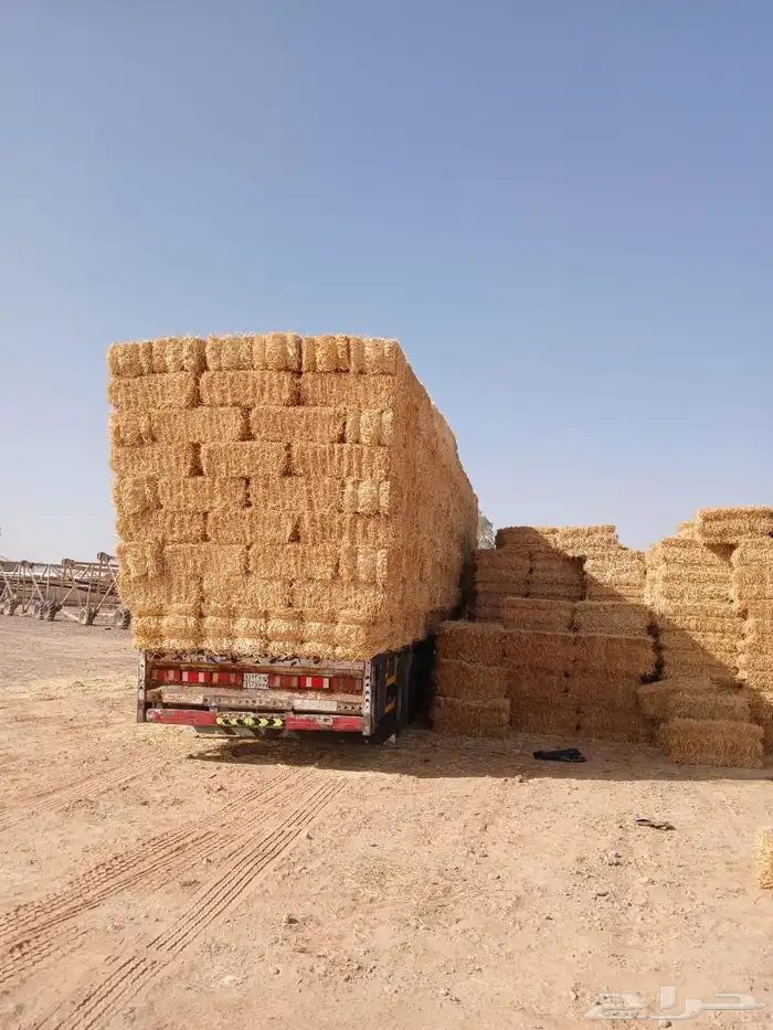 تبن بر الدفع عند الوصول 0