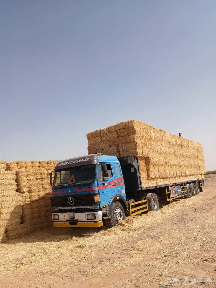 تبن بر الدفع عند الوصول 2