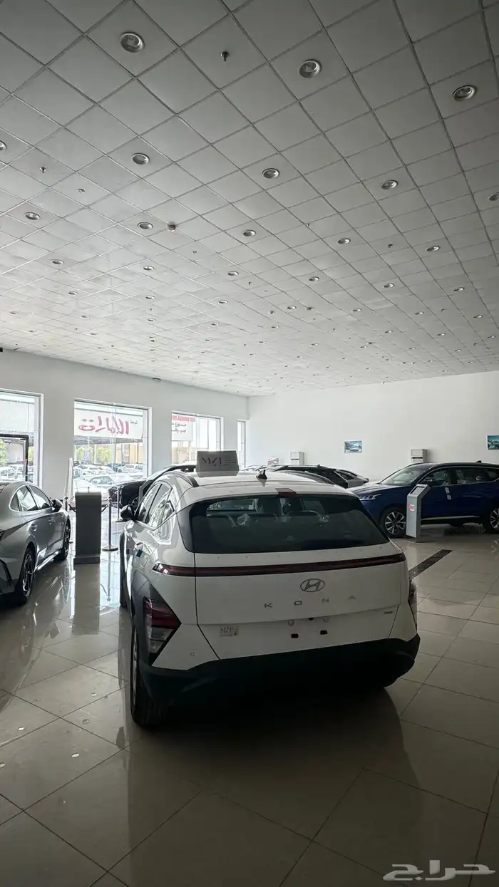 تمويل اسطول السيارات للمؤسسات والشركات 29