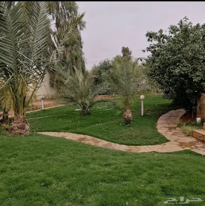 استراحه عبق البيلسان للايجار 9