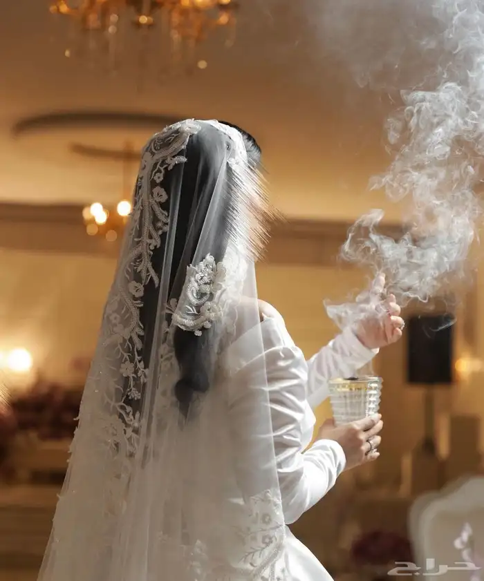 مصورة عرايس 4