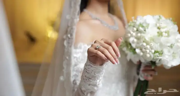 مصورة عرايس 7