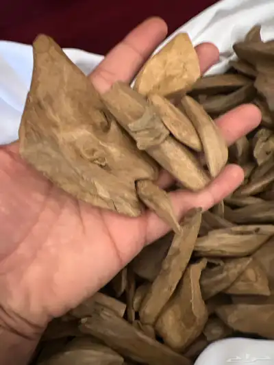 طيب عود مروكي طبيعي طبيعي كسر متنوعه قديم 3