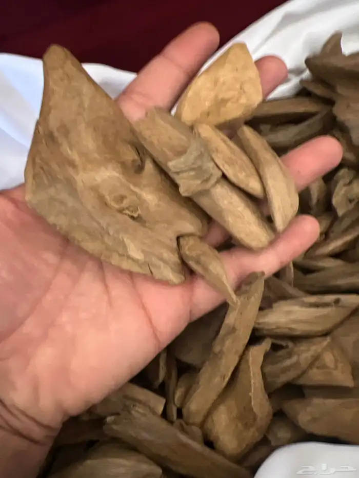 طيب عود مروكي طبيعي طبيعي كسر متنوعه قديم 3