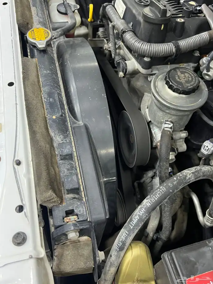 تم البيع الله يبارك للمشتري 64