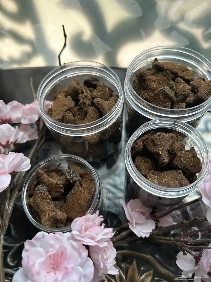 بخور حساوي 0