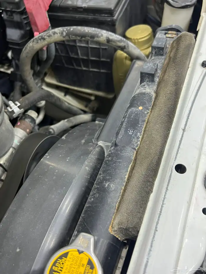 تم البيع الله يبارك للمشتري 55