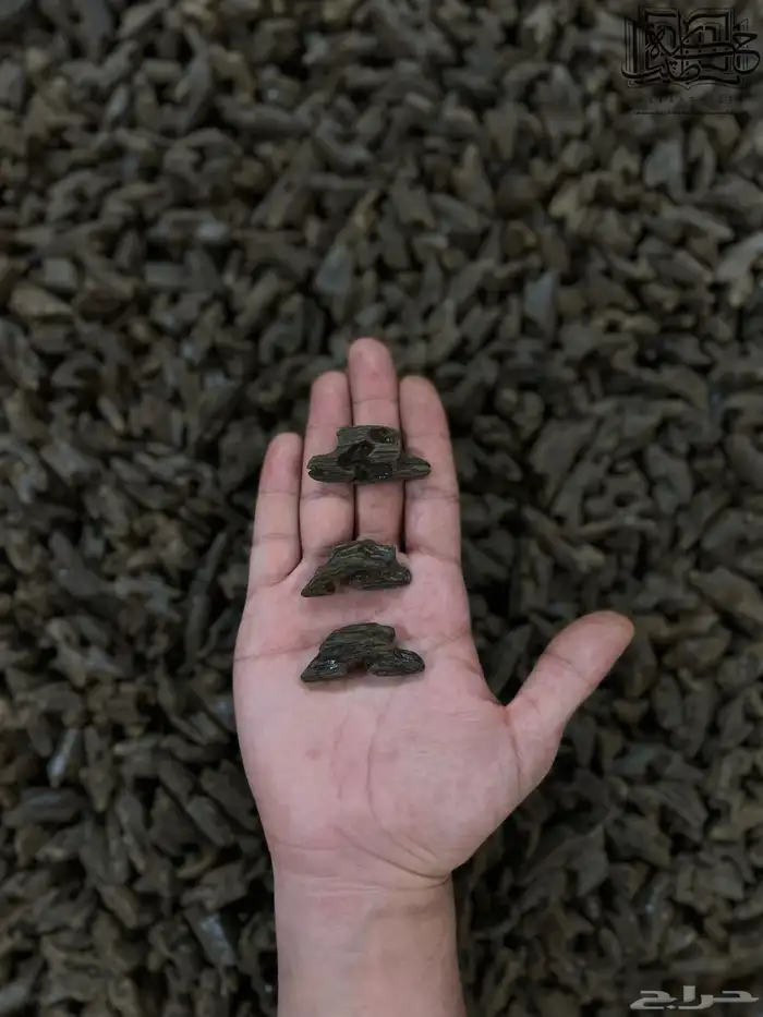 عود كلمنتان بنتلي طبيعي محسن دبل سوبر (جمله) 1