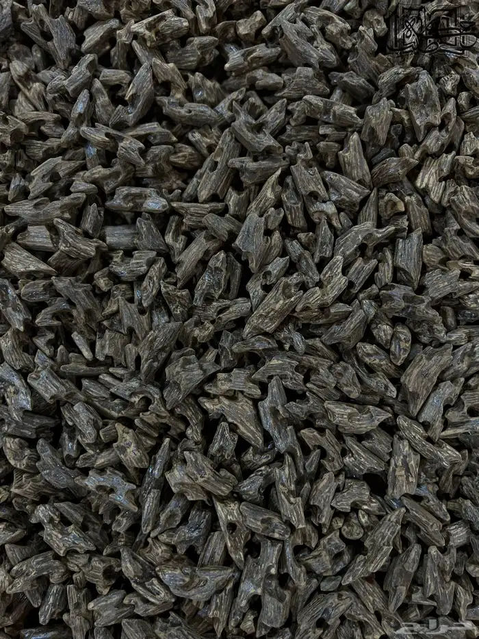 عود كلمنتان بنتلي طبيعي محسن دبل سوبر (جمله) 2