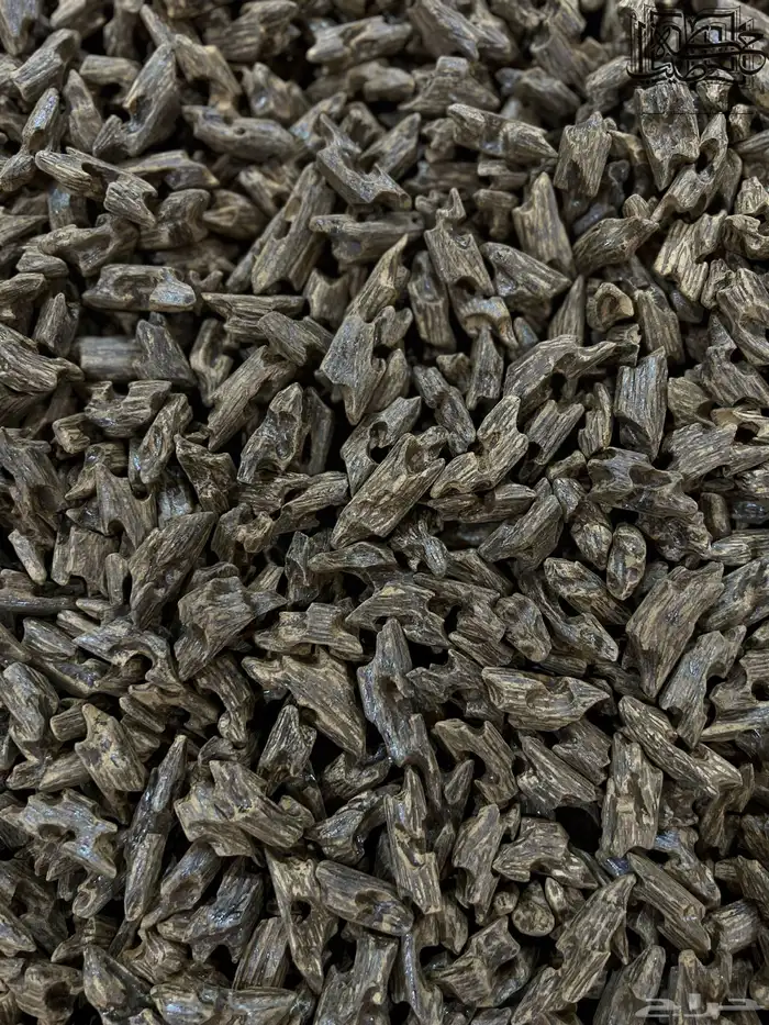 عود كلمنتان بنتلي طبيعي محسن دبل سوبر (جمله) 0