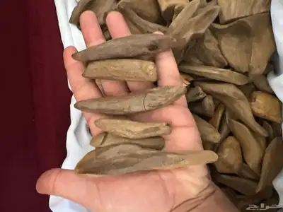 طيب عود مروكي طبيعي طبيعي كسر متنوعه قديم 4