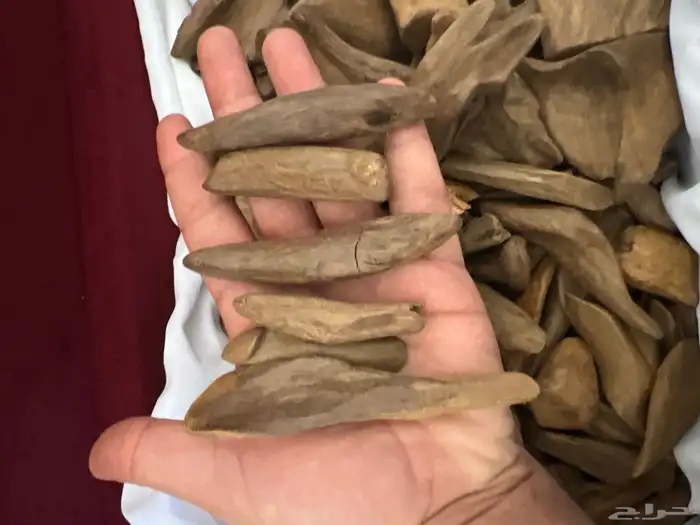 طيب عود مروكي طبيعي طبيعي كسر متنوعه قديم 4