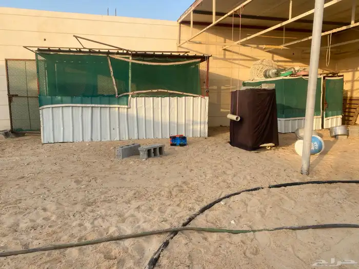 ابقيق 0