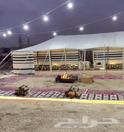 لبيع بيوت الشعر الابيض درجه اولى نسبة الشعر 80 100 0