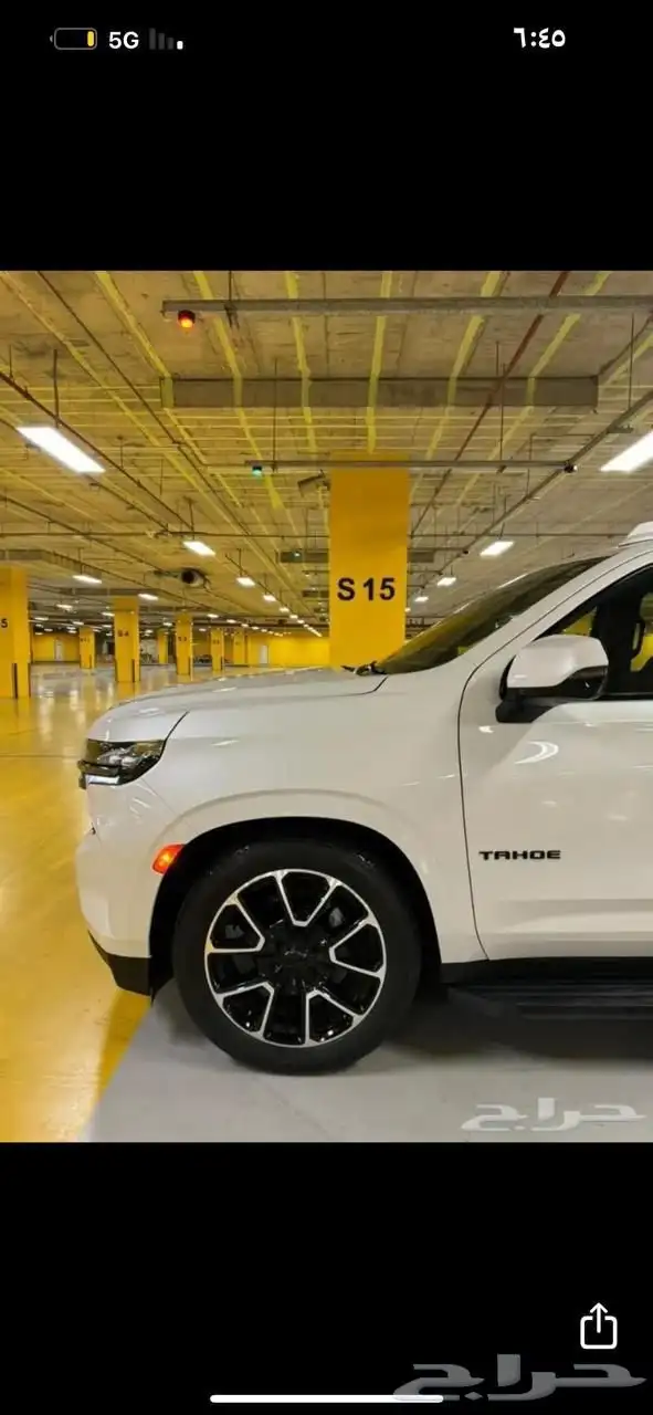 تاهو 22 فل الفل شرط مشروط 4