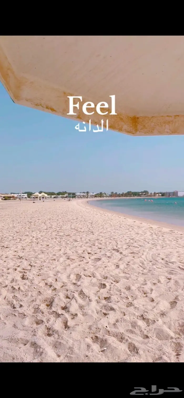 خليج الدانه شاليه للايجار 0