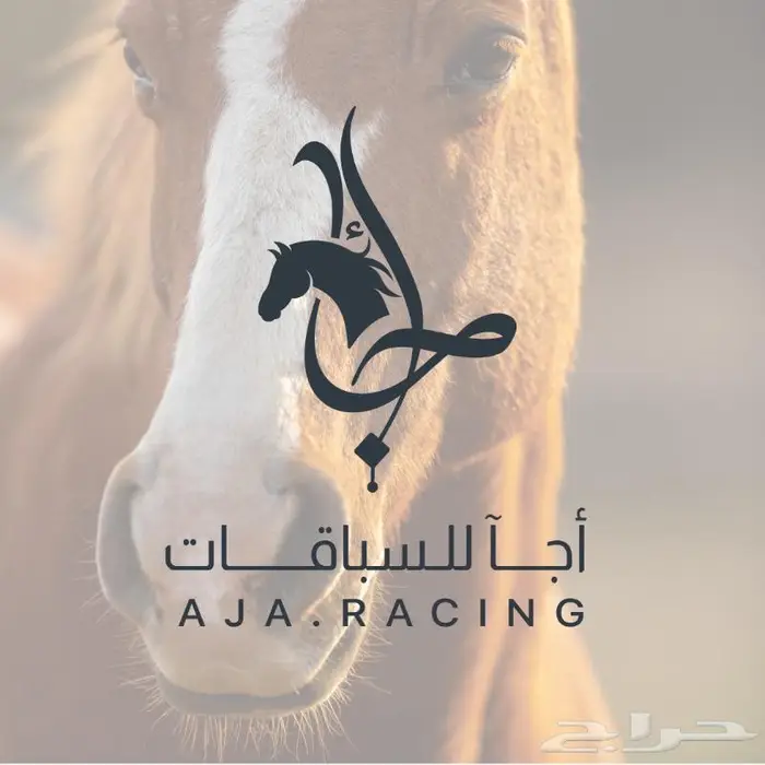 تصاميم شعارات تجاريه 20