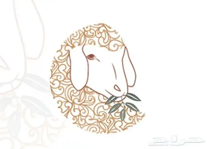 ذبايح حسب الطلب 0