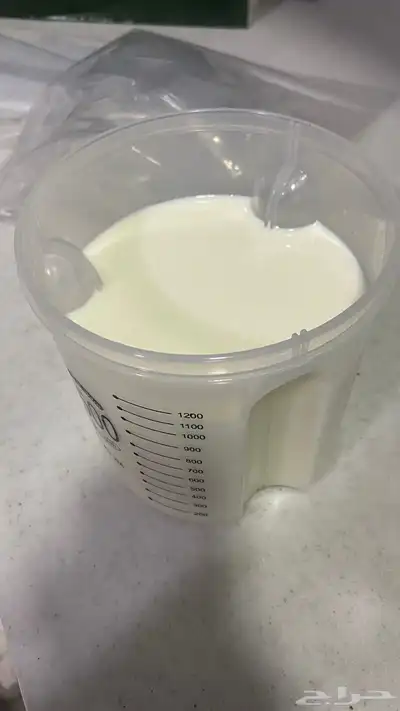 لبن غنم طازج لتر 10 0