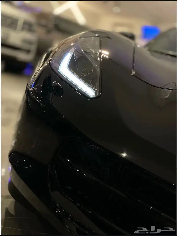 كورفيت 2019 للليع 6