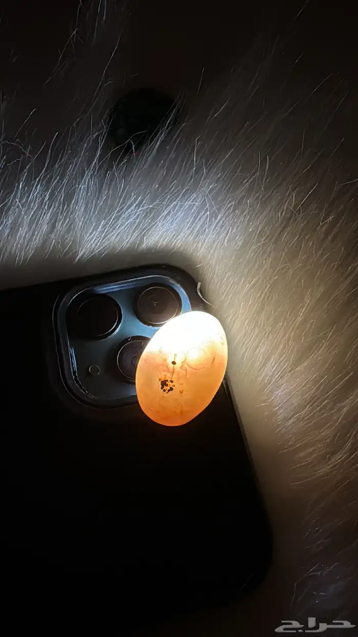 احجار خام سليماني هندي 2