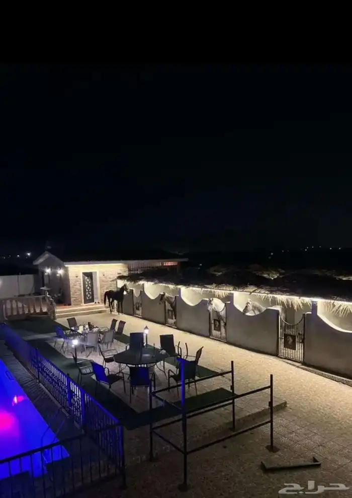 اسطبل درة العروس للايجار اليومي 1