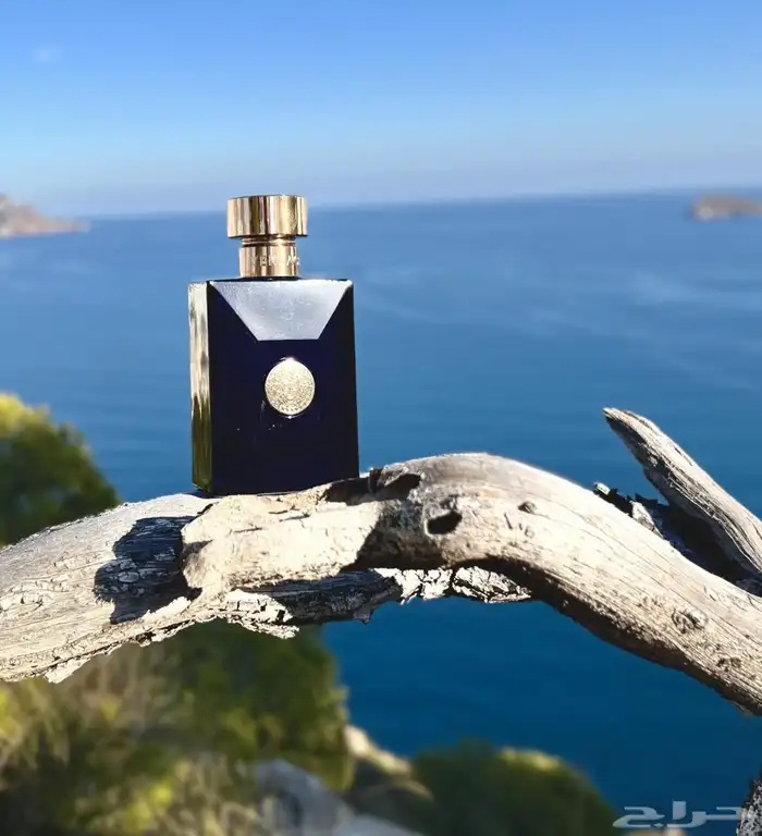 عطر ديلان بلو رجالي 3