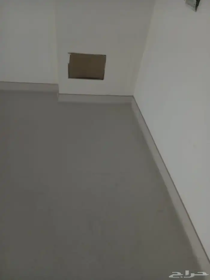 فينيل رياضي 9