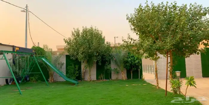استراحة القصور للإيجار اليومي 12