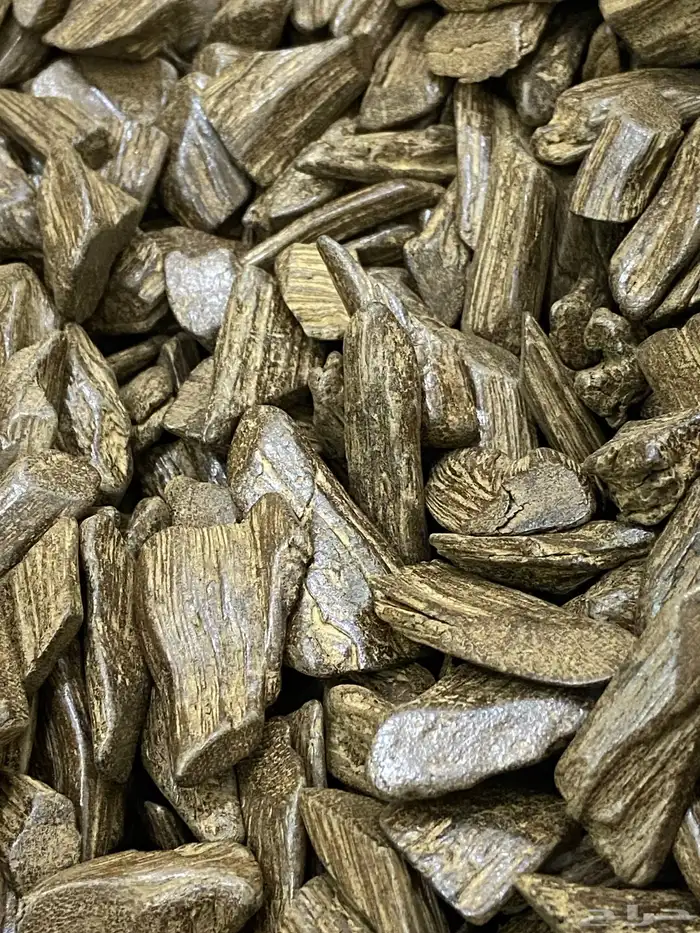 عود مروكي خاص 2