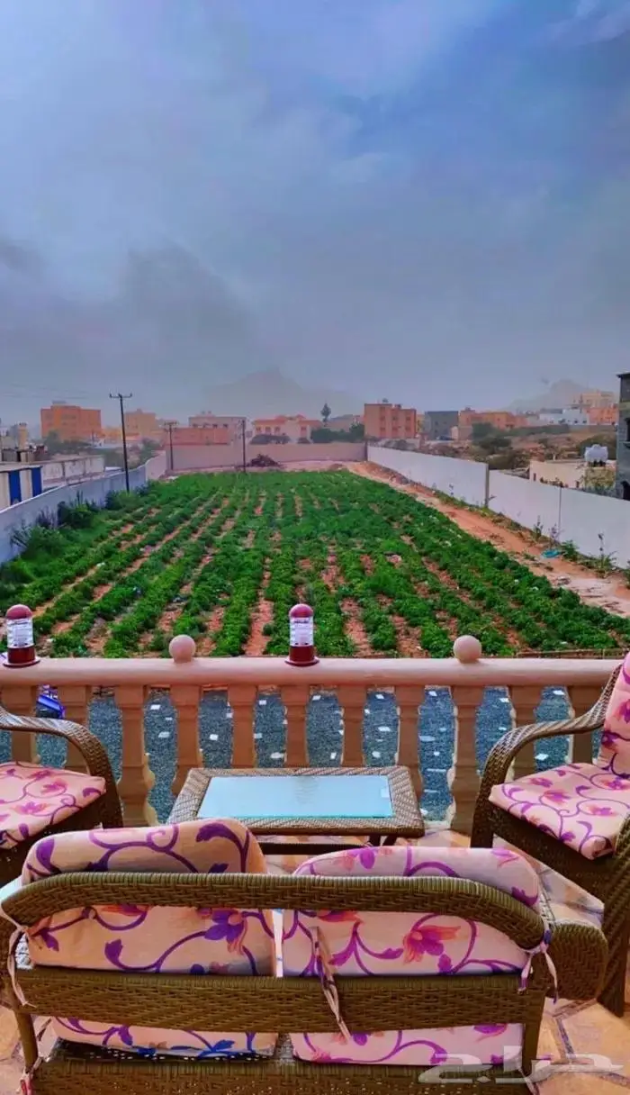 00شالية ومزرعة برستيج بتنومة الأكبر والافخم00 15