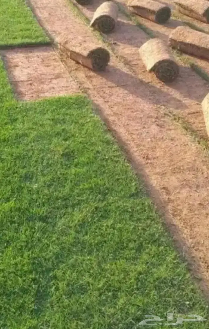 نجيله طبيعيه 5