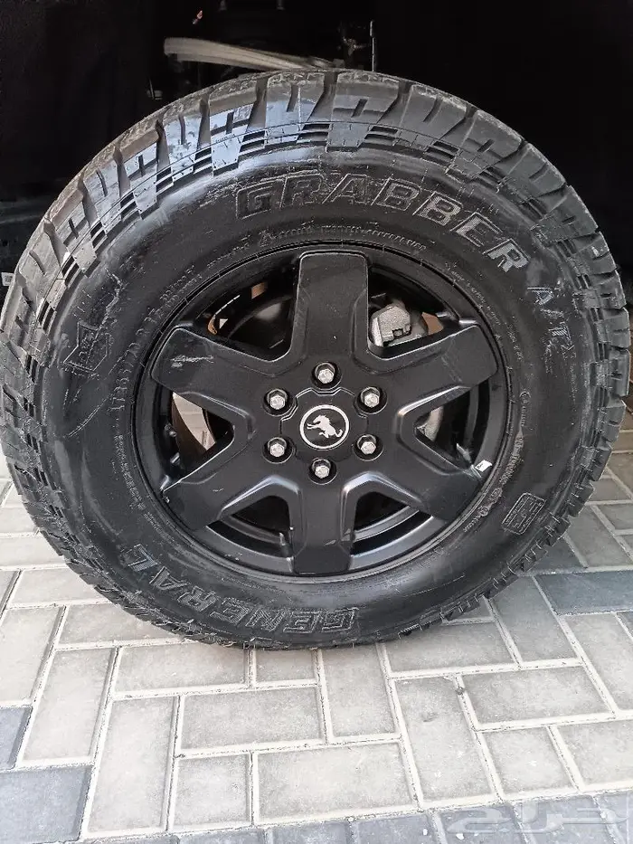 برنكو للبيع 17