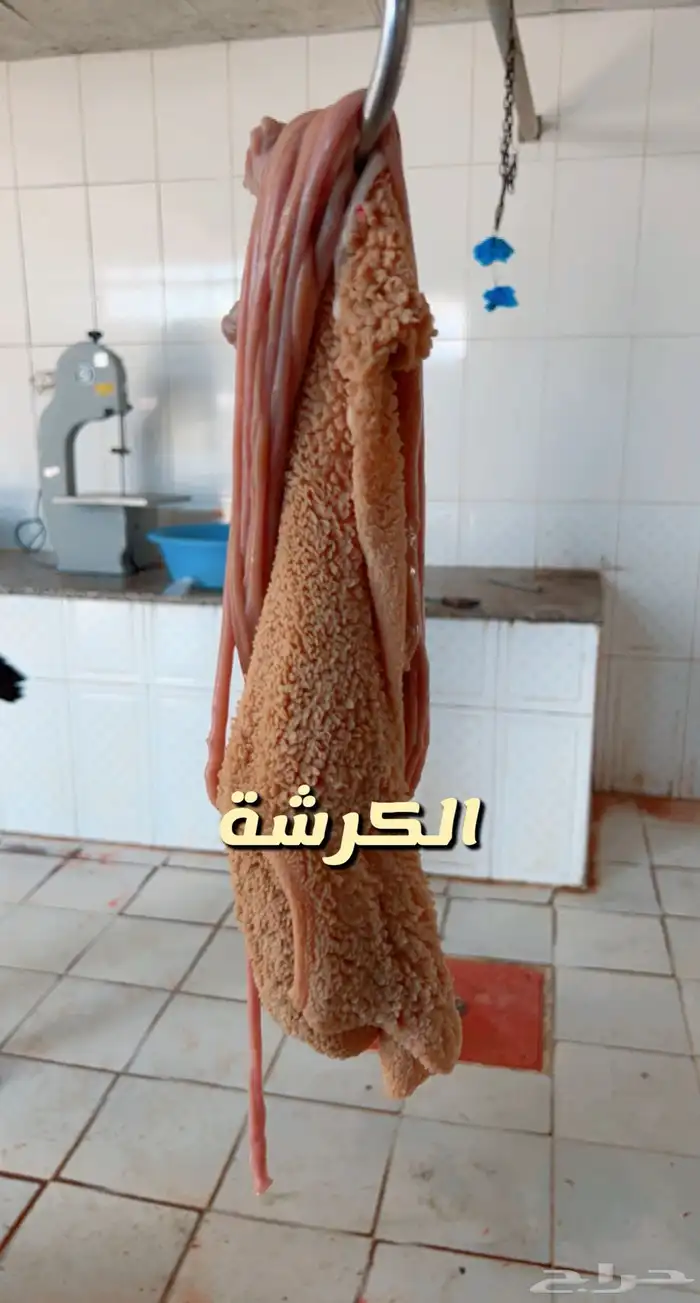 عرض ذبايح حري وسط 1270 سواكني وسط 1150شاملالذبح والتوصيل 2