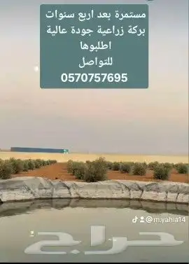 بلاستيك بحيرات احواض زراعية اسماك عازل للمقاولات 4