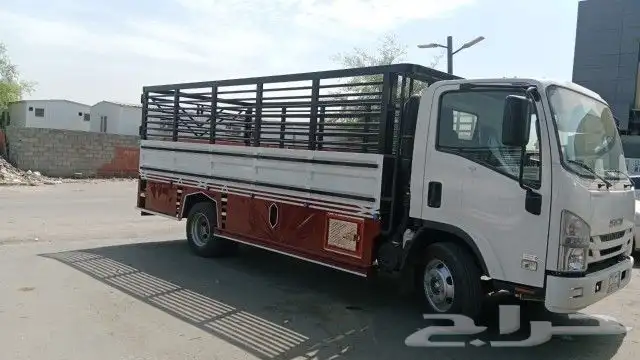 ورشه الأمل اللحداده العامه 9