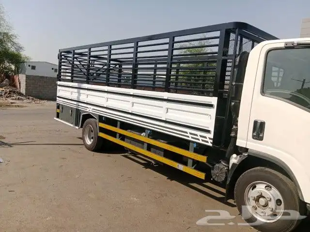 ورشه الأمل اللحداده العامه 20