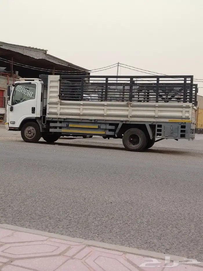 دينا ايسوزو 2015 لنقل 0