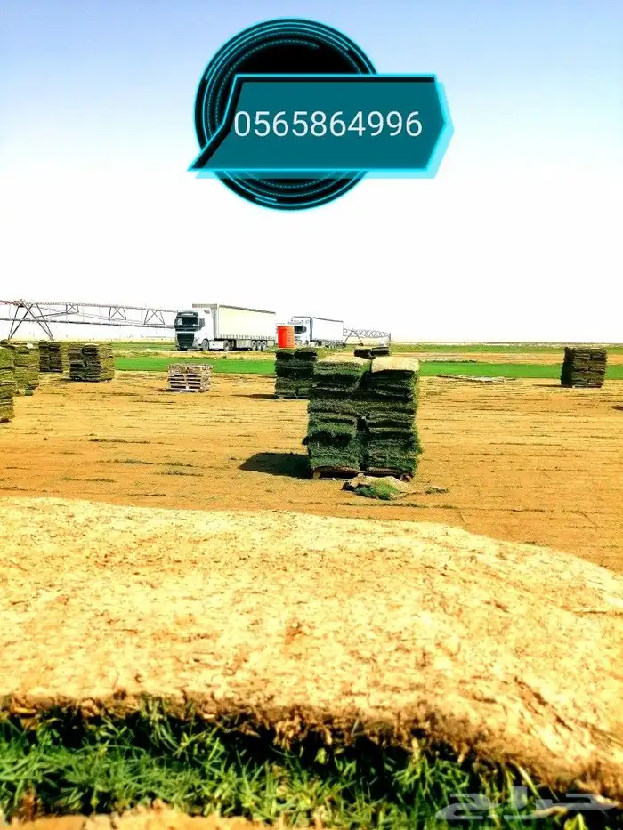 ثيل طبيعي C2000 1