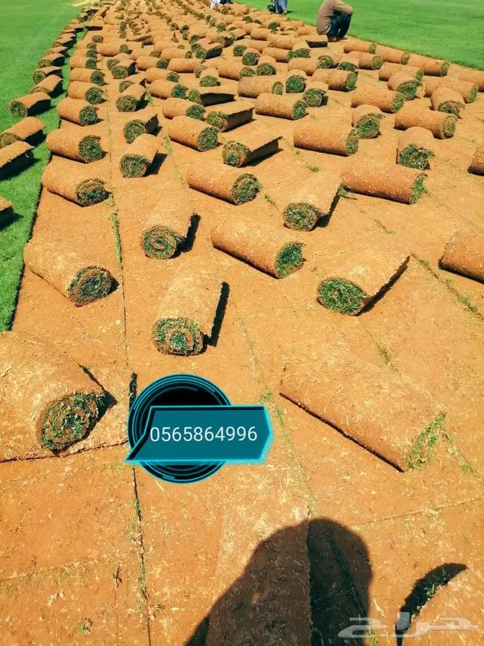 ثيل طبيعي C2000 5