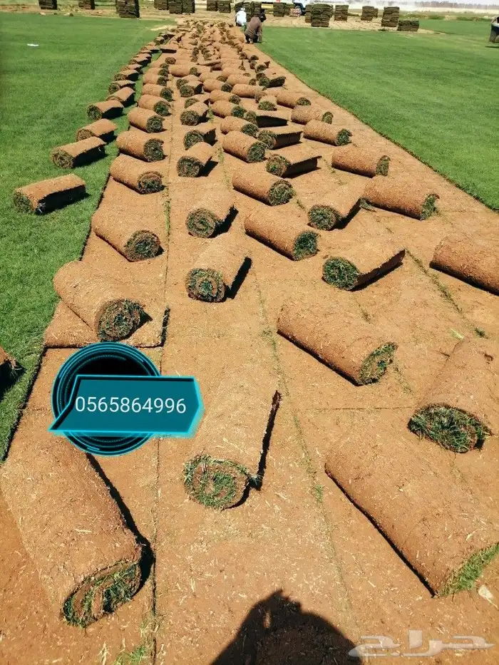 ثيل طبيعي C2000 11