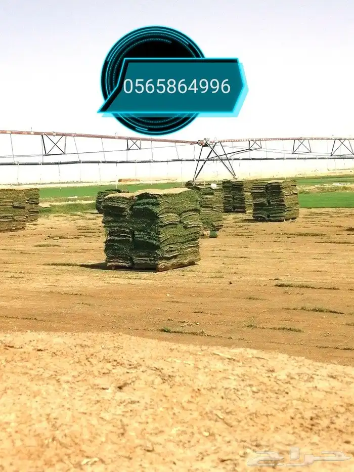 ثيل طبيعي C2000 0