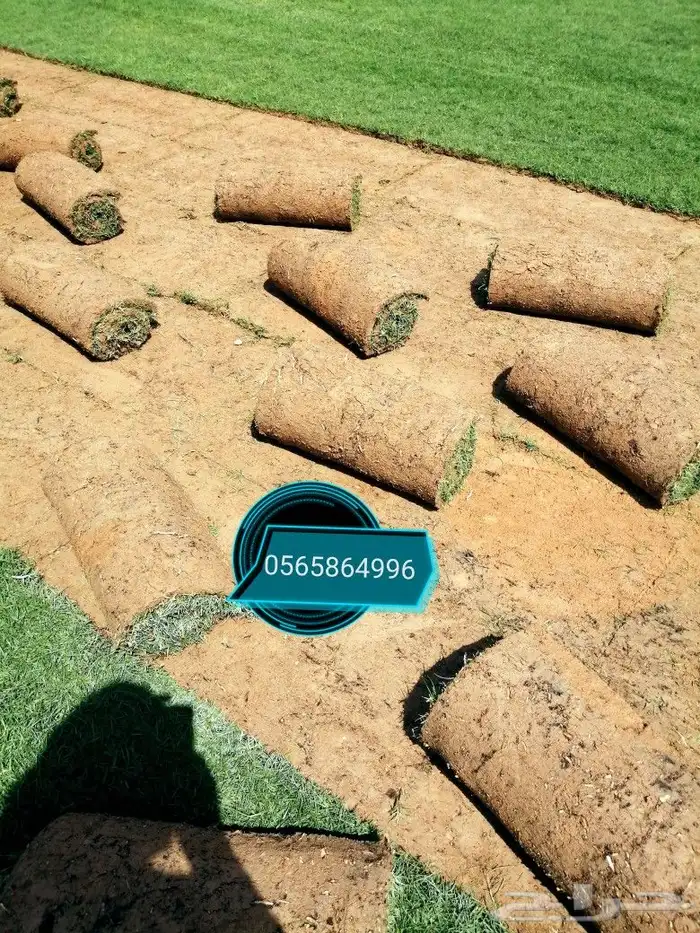 ثيل طبيعي C2000 13