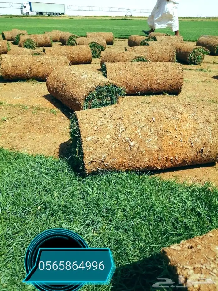 ثيل طبيعي C2000 7