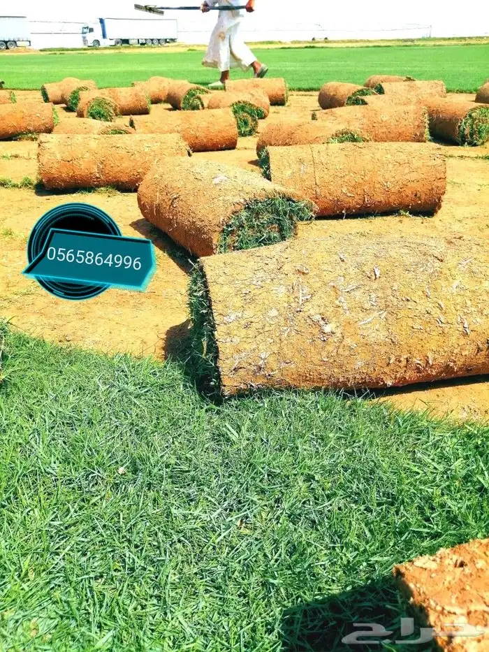 ثيل طبيعي C2000 8