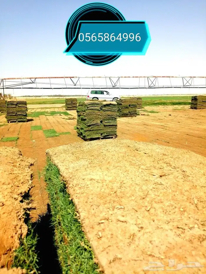 ثيل طبيعي C2000 3