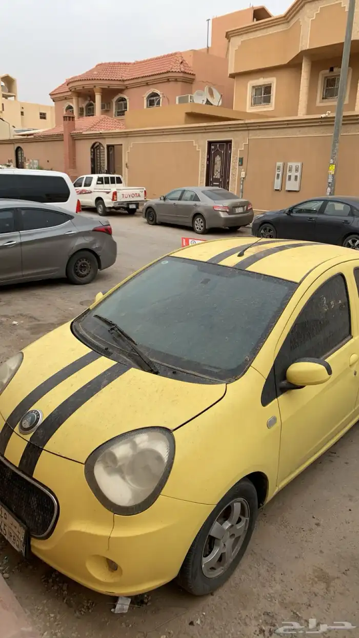 جلي باندا 2015 7